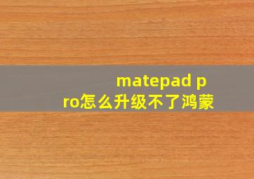 matepad pro怎么升级不了鸿蒙